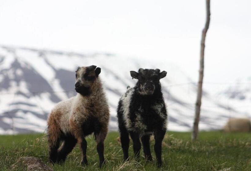 Отель Glæsibær 2 Guesthouse And Horsefarm