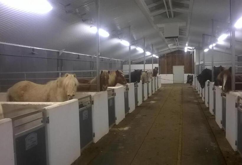 Отель Glæsibær 2 Guesthouse And Horsefarm