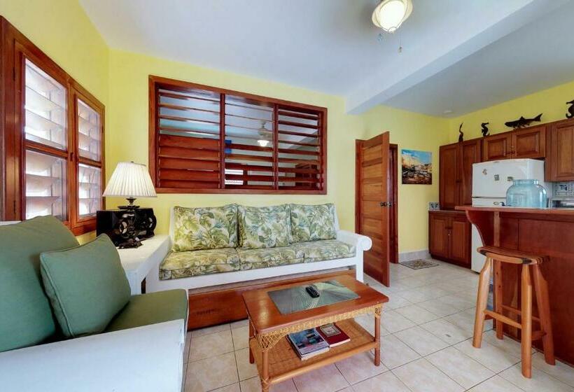 호텔 Hibiscus @ Caribe Island