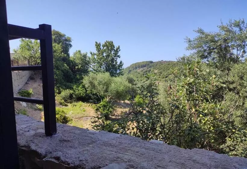 ホテル Petros Rooms