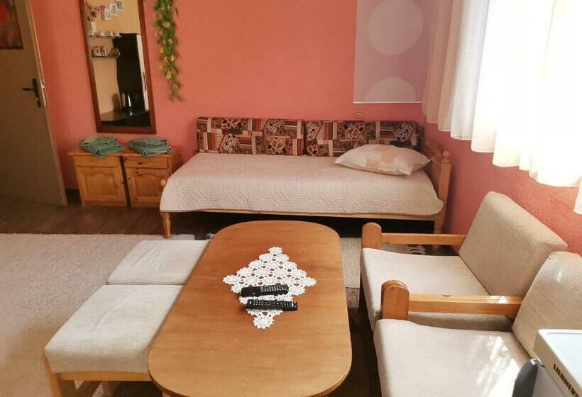 بنسيون къща за гости боневи