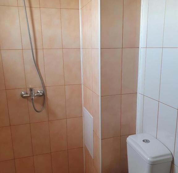 פנסיון студия лилия