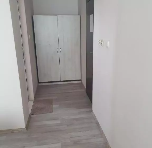 پانسیون студия лилия