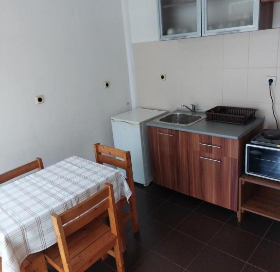 پانسیون Guest House Viktor