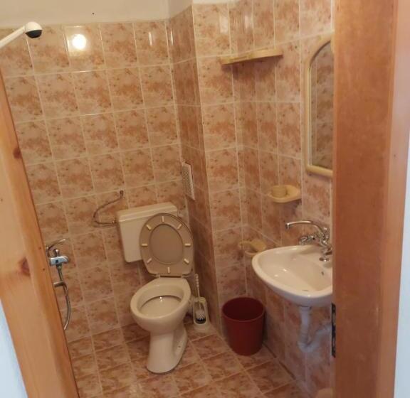 پانسیون Guest House Viktor