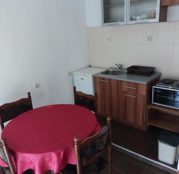 پانسیون Guest House Viktor