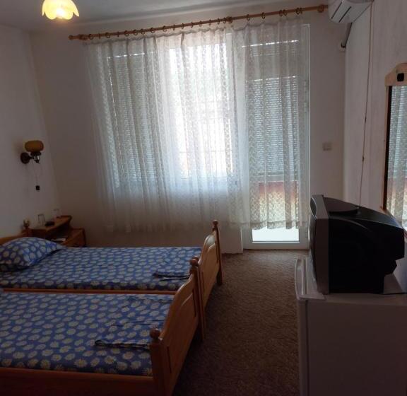 پانسیون Guest House Viktor