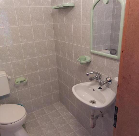 پانسیون Guest House Viktor