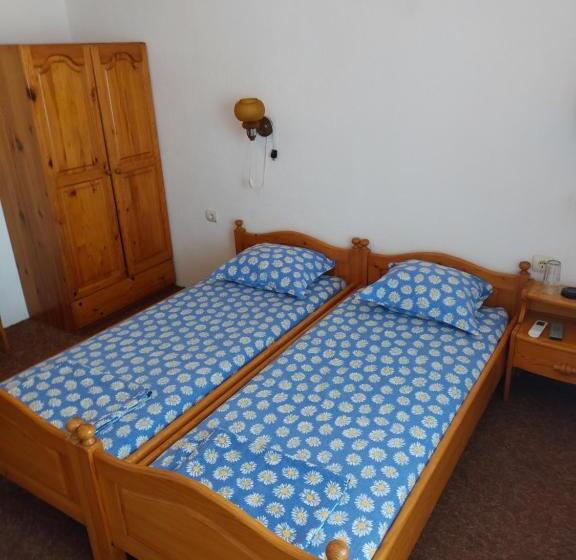 پانسیون Guest House Viktor