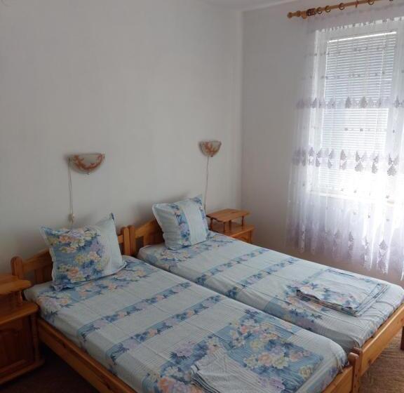 پانسیون Guest House Viktor