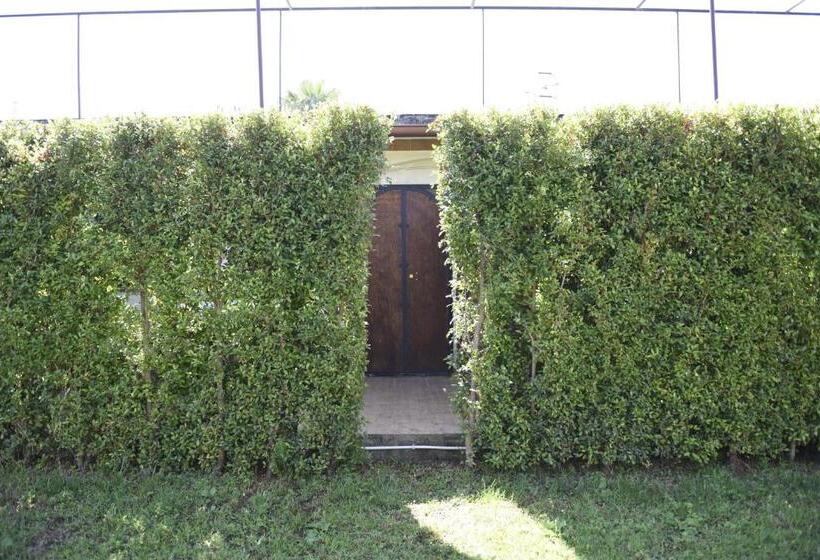 پانسیون Villa Amelie