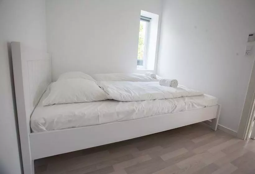 Stadium / Central / Park / Art Gallery