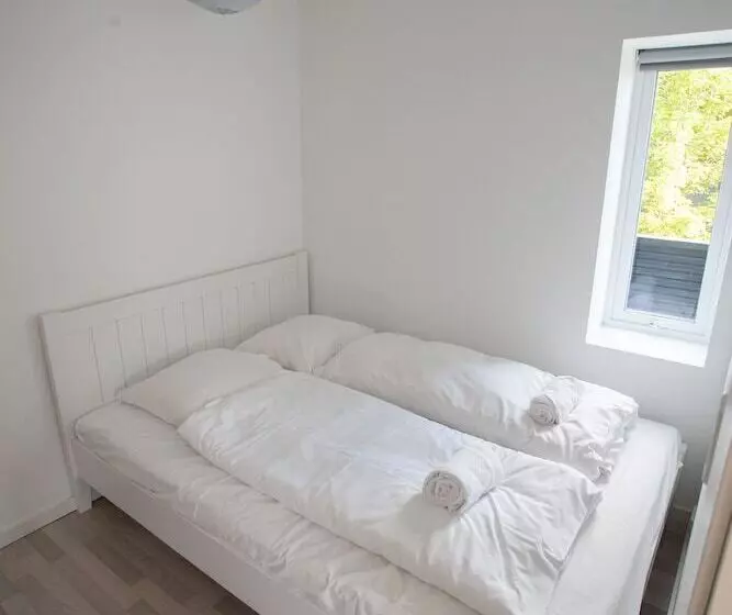 Stadium / Central / Park / Art Gallery