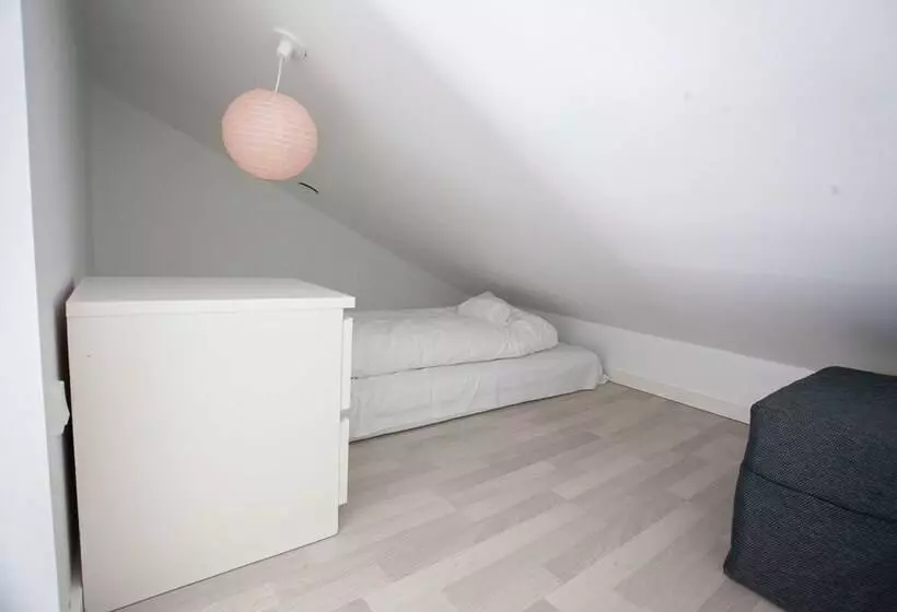 Stadium / Central / Park / Art Gallery