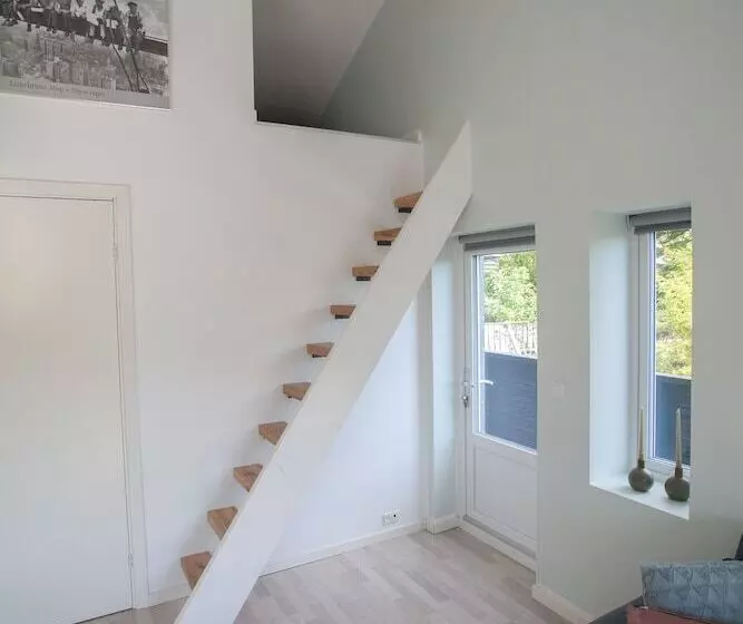 Stadium / Central / Park / Art Gallery