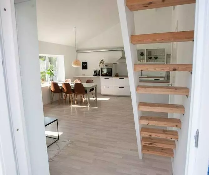 Stadium / Central / Park / Art Gallery