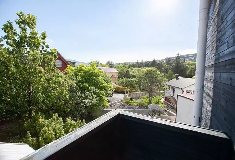 Stadium / Central / Park / Art Gallery