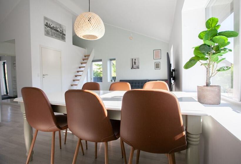 Stadium / Central / Park / Art Gallery