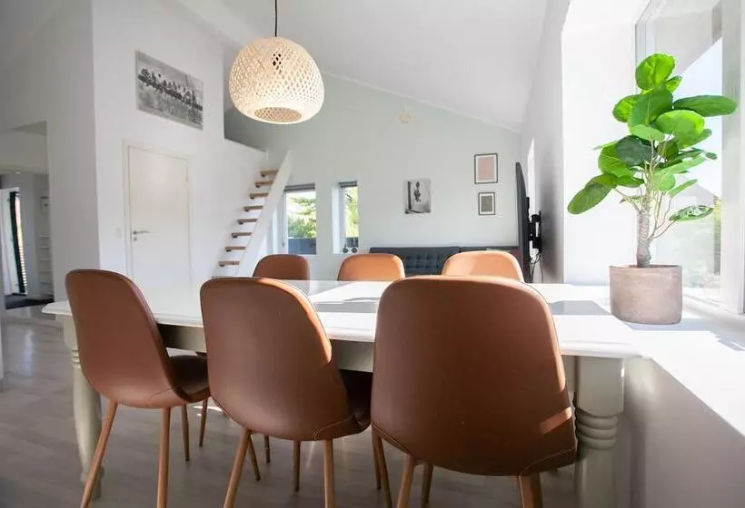 Stadium / Central / Park / Art Gallery