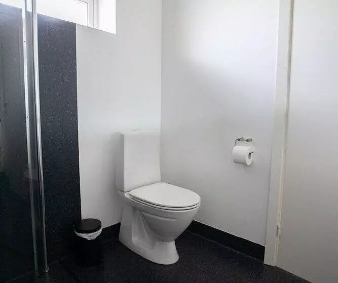 Stadium / Central / Park / Art Gallery