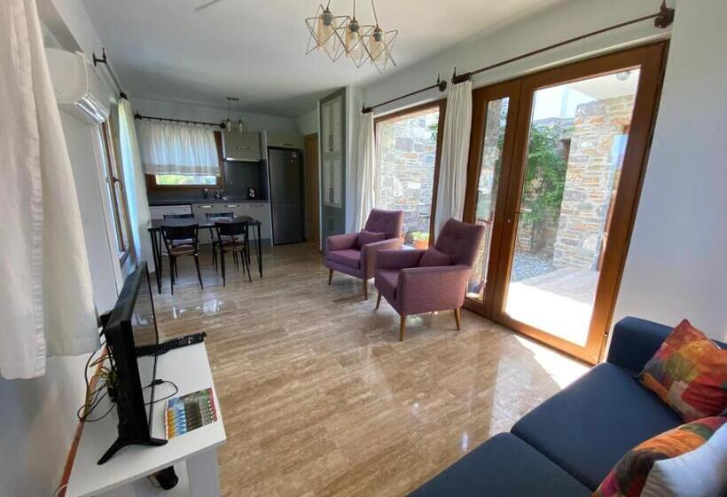 Villa Merry   Dalyan Stonehouse With Palmtrees, 50m To River