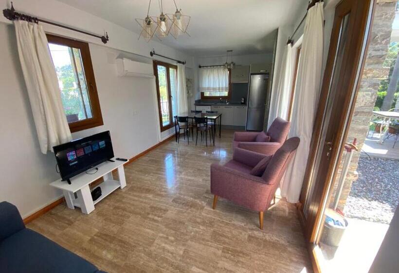 Villa Merry   Dalyan Stonehouse With Palmtrees, 50m To River