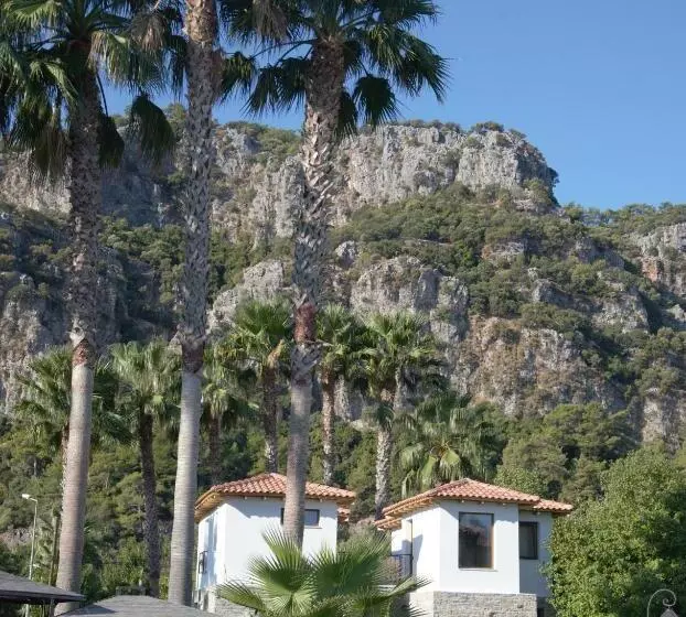 Villa Merry   Dalyan Stonehouse With Palmtrees, 50m To River