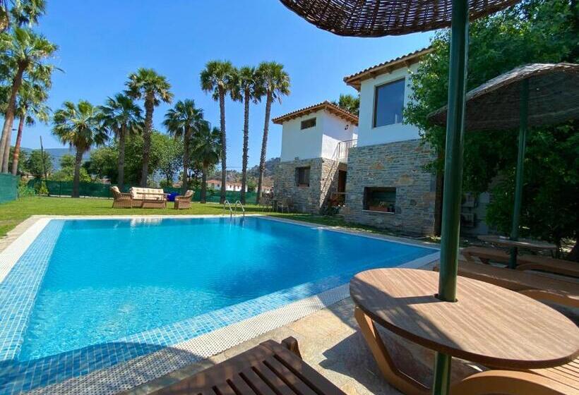 Villa Merry   Dalyan Stonehouse With Palmtrees, 50m To River