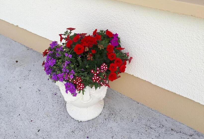 צימר Laurel Lodge