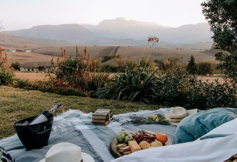 בית מלון כפרי Inkungu Lodge