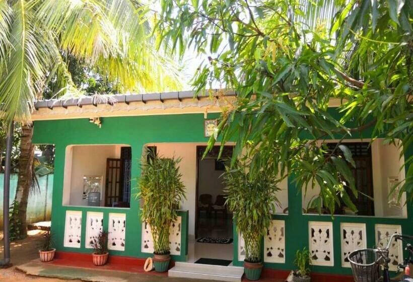 Pension Alass Ga For Pets Lovers