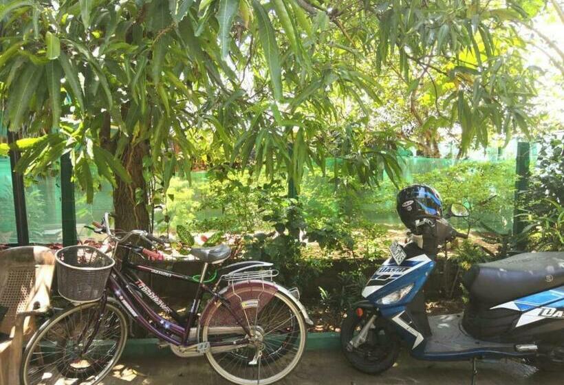 Pension Alass Ga For Pets Lovers