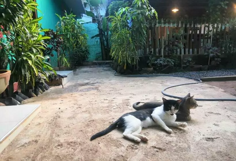 پانسیون Alass Ga For Pets Lovers