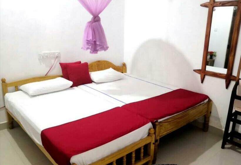 Pension Alass Ga For Pets Lovers