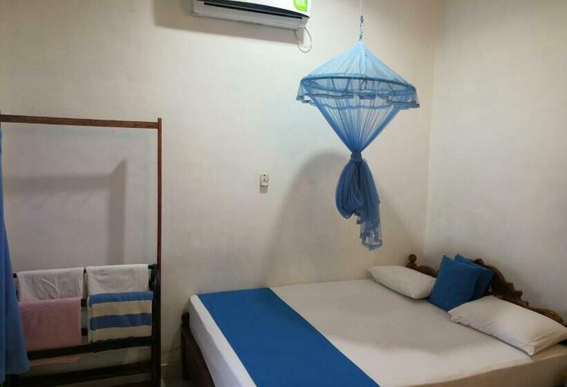 Pension Alass Ga For Pets Lovers