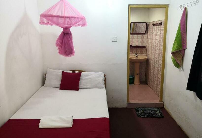 Pension Alass Ga For Pets Lovers