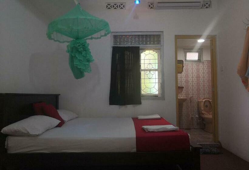 Pension Alass Ga For Pets Lovers