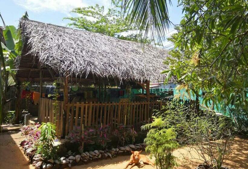 Pension Alass Ga For Pets Lovers