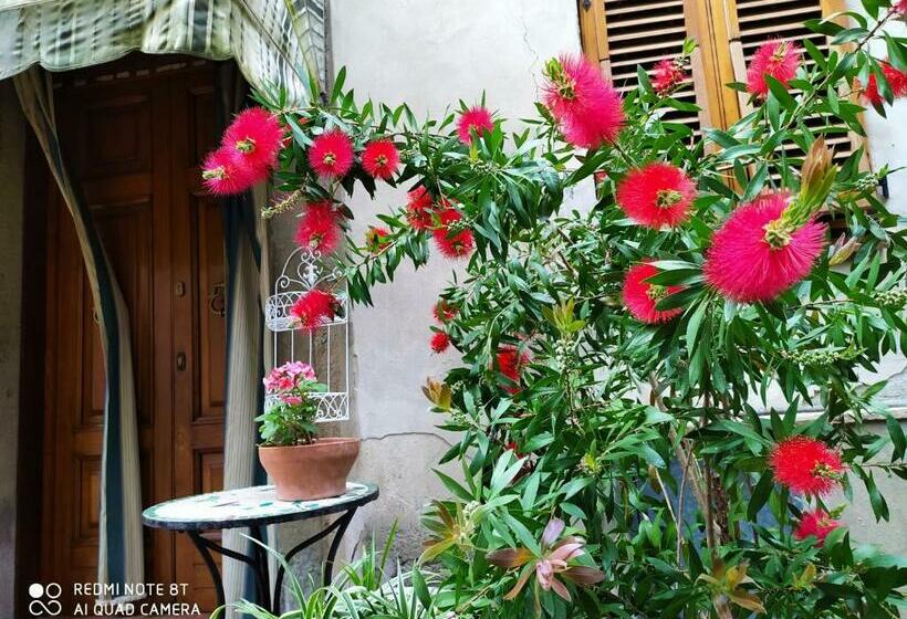 Panzió Castelvecchio Alto