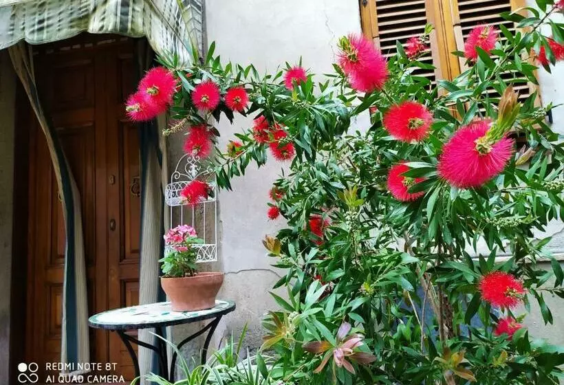 پانسیون Castelvecchio Alto