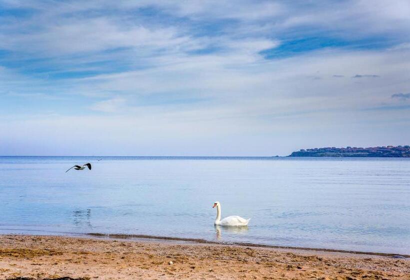 پانسیون Guest House Karamihalevi