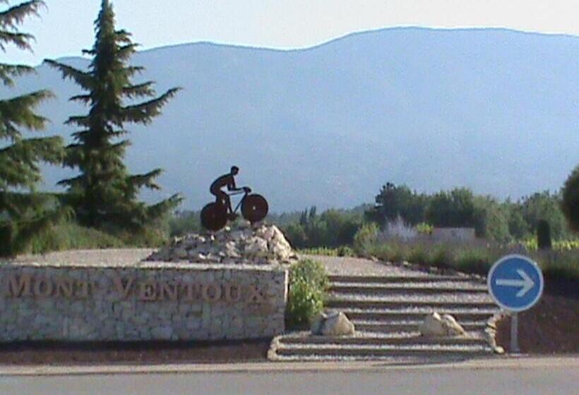 פנסיון Paradise House