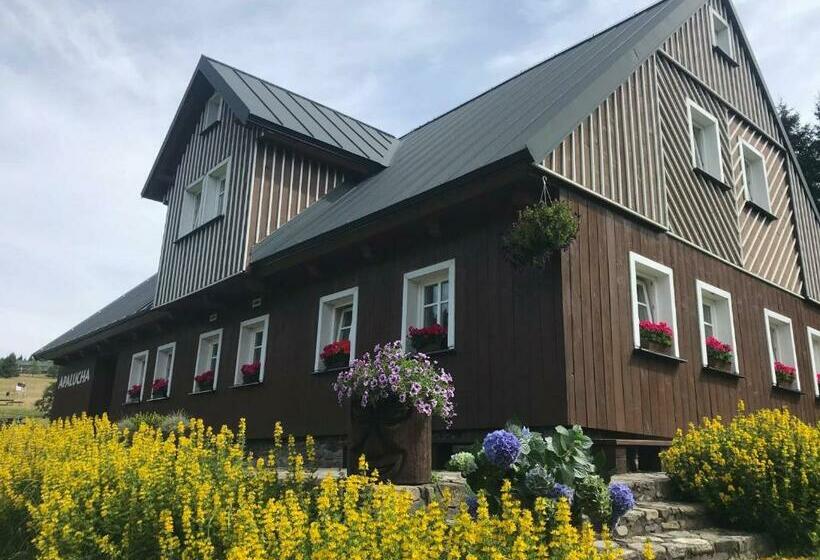 פנסיון Penzion Apalucha