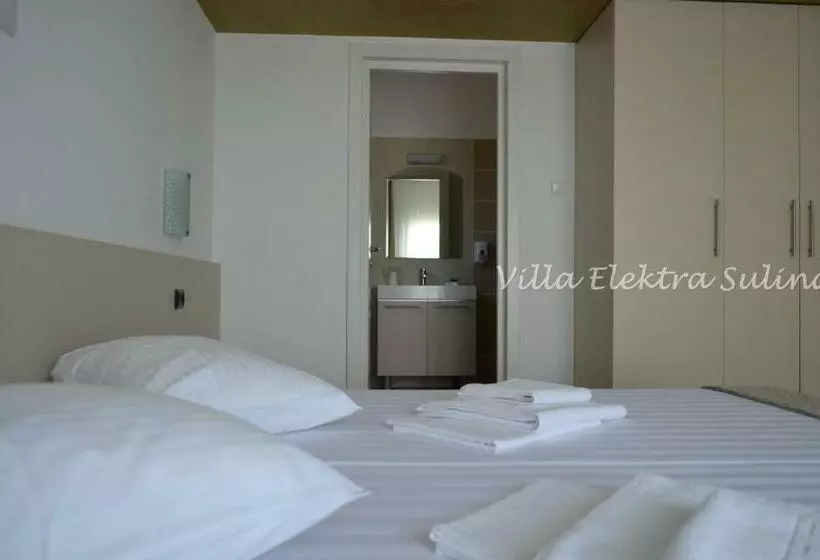 ペンション Elektra   Sulina