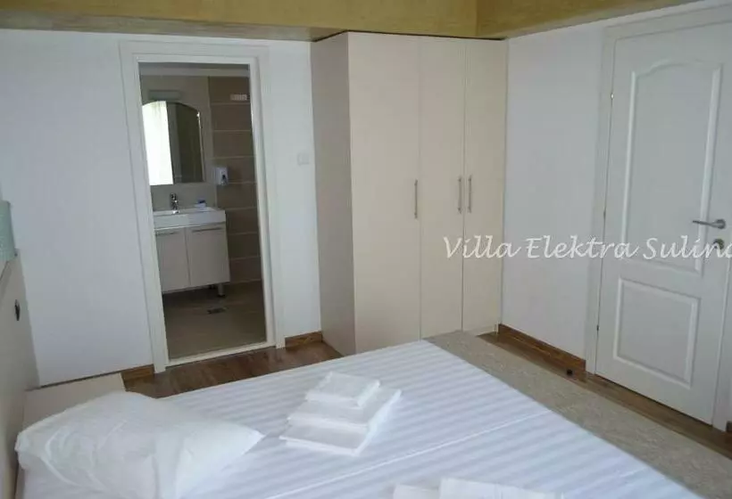 ペンション Elektra   Sulina