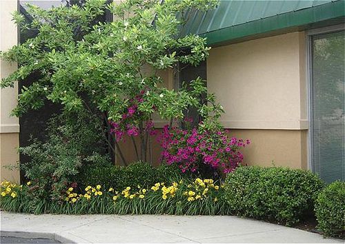 Fern Valley Hotel & Conference Center