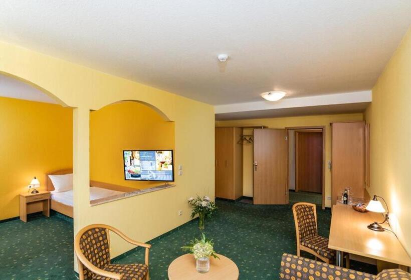 酒店 Am Kurhaus Mit Erstem Ayurveda Center Sachsens   Direkt Am Gesundheitsbad Actinon & Kurpark