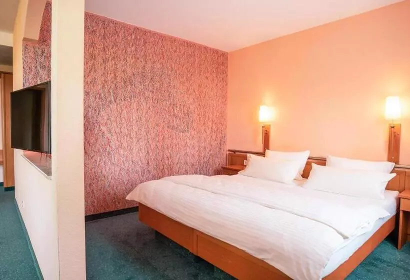 酒店 Am Kurhaus Mit Erstem Ayurveda Center Sachsens Direkt Am Gesundheitsbad Actinon & Kurpark