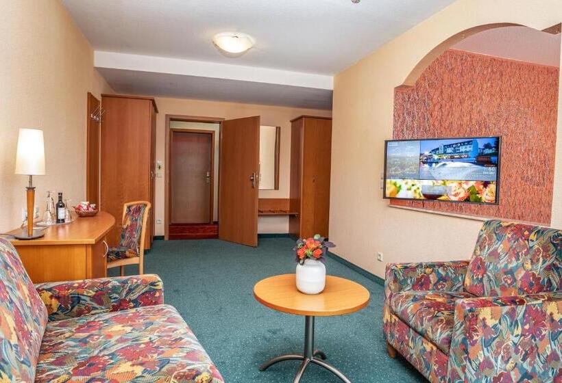 酒店 Am Kurhaus Mit Erstem Ayurveda Center Sachsens   Direkt Am Gesundheitsbad Actinon & Kurpark