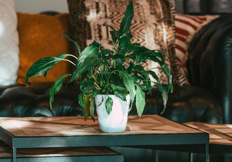 ホテル Logis Hôtel Aux Berges De L Aveyron